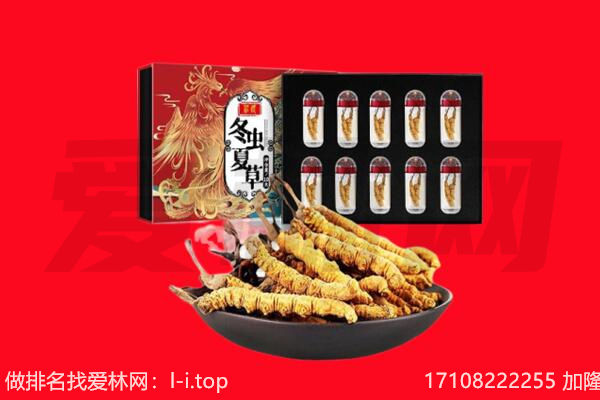山南回收虫草.jpg